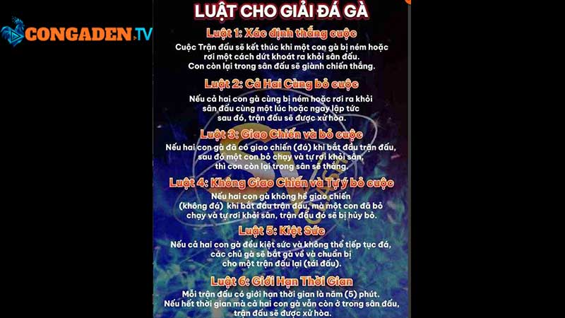 luật đá gà thomo