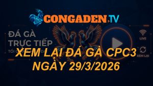 XEM LẠI ĐÁ GÀ CPC3 NGÀY 29/3/26