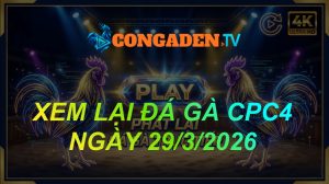 XEM LẠI ĐÁ GÀ CPC4 NGÀY 29/3/26