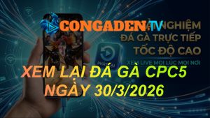 XEM LẠI ĐÁ GÀ CPC5 NGÀY 30/3/26