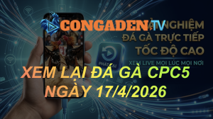 XEM LẠI ĐÁ GÀ CPC5 NGÀY 17/4/26