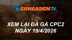 XEM LẠI ĐÁ GÀ CPC2 NGÀY 19/4/26