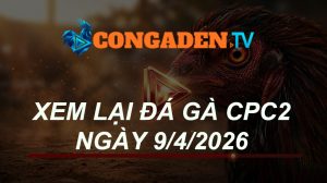 XEM LẠI ĐÁ GÀ CPC2 NGÀY 9/4/26