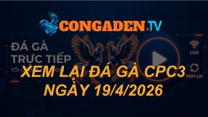 XEM LẠI ĐÁ GÀ CPC3 NGÀY 19/4/26