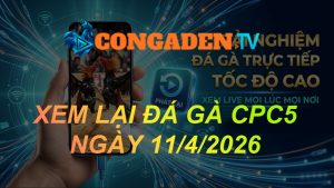 XEM LẠI ĐÁ GÀ CPC5 NGÀY 11/4/26