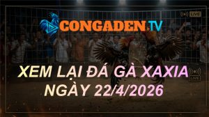 XEM LẠI ĐÁ GÀ XAXIA NGÀY 22/4/26